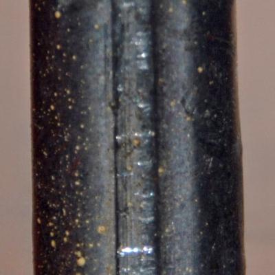 Rna 6317